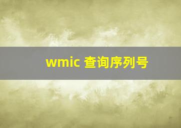 wmic 查询序列号